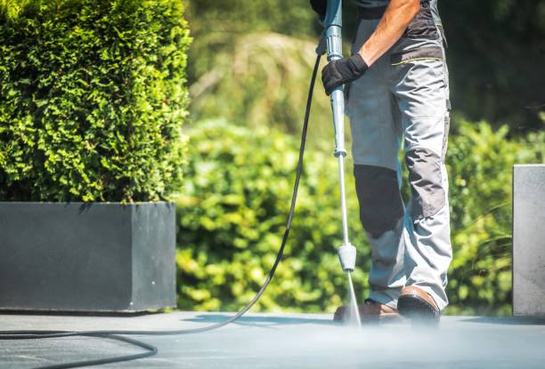 Best Sidewalk and Walkway Cleaning  in Lincoln Rk, PA